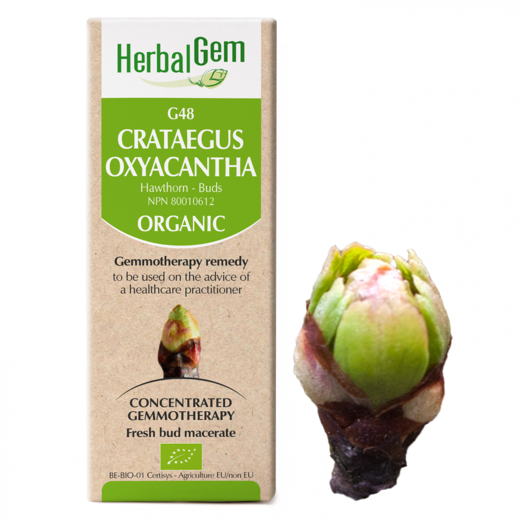 HerbalGem: Crataegus Oxyacantha (15ml)