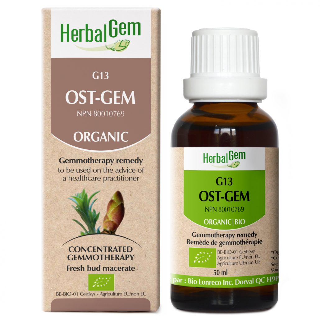 HerbalGem: Ost-Gem (15 ml)