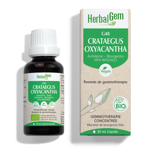 HerbalGem: Crataegus Oxyacantha (30ml)