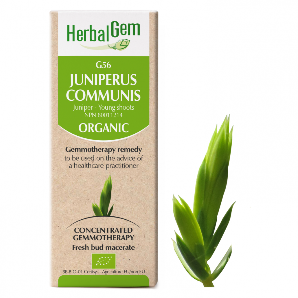 HerbalGem: Juniperus Communis (15ml)